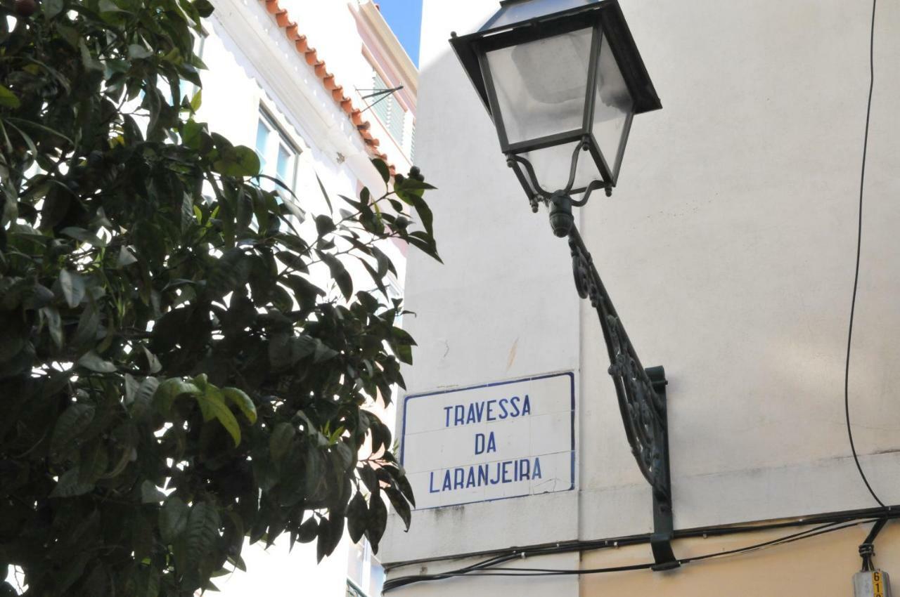 Lejlighed Chiado Bairro Alto, Bright And Newly Renovated 3 Bedroom Apartment, Historical Center Lisboa